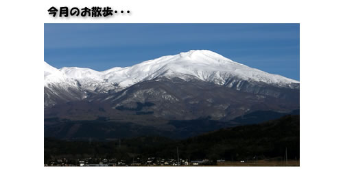 �傫���摜������