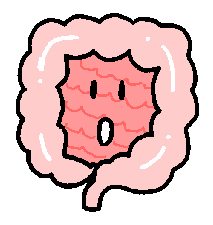 �Y������