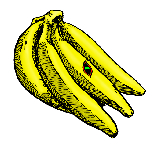 �T�v�������g